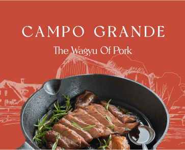 Recent Work - Campo Grande